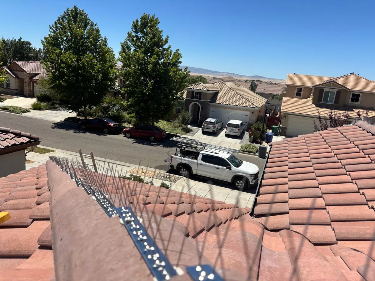 Bird spike strips following the ridge of a red tile roof