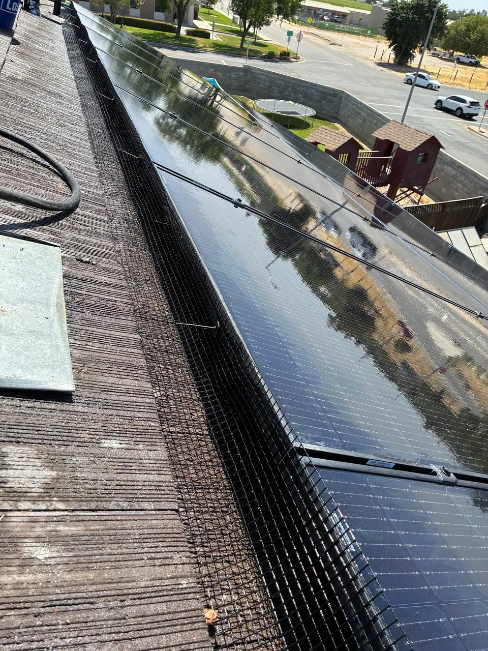 Wire bird mesh following the edge of rooftop solar panels