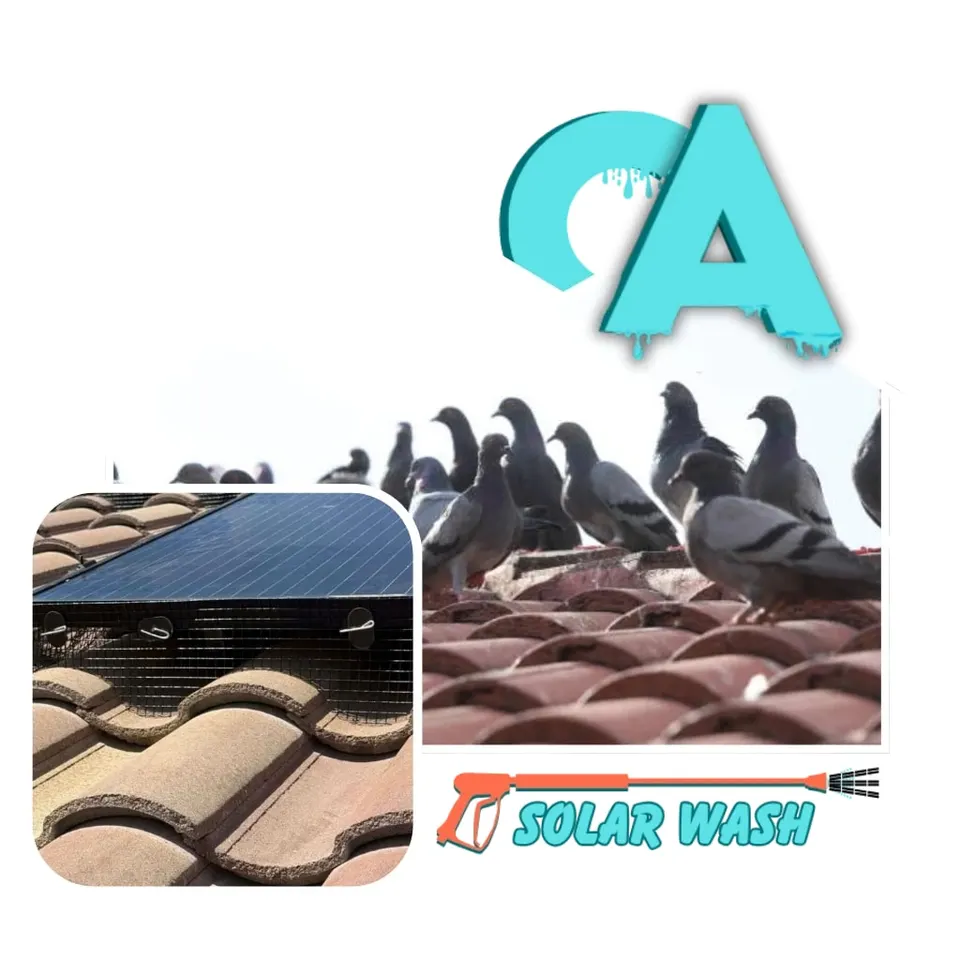 CA Solar Wash bird proofing graphic with pigeons and tile roof details